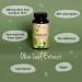 Vegavero Olive Leaf Extract | 40% Oleuropein | Spanish Olive Leaves | 7500mg Equivalent | 90 Capsules | Vegan-Friendly - Buy Online on GoSupps.com