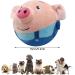 Gobesty Active Moving Pet Plush Toy Moving Dog Toy Electronic Plush Interactive Dog Toys active moving pet plush toy - Buy Online on GoSupps.com