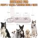 3-In-1 Cat Food And Water Bowl Set Cat Bowls With Stand Double Cat Bowls with Water Dispenser For Pet Food And Water Feeder For Small Medium Dogs Cats - Buy Online on GoSupps.com