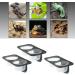 Serenable 3 PCS Reptile Amphibians Chameleon Lizard Feeding Ledge Bowls Double Dish with Suction Cup - Buy Online on GoSupps.com