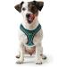 HUNTER HILO COMFORT Harness for Small Dogs - Turquoise XXS-XS | Mesh Material & Reflective Elements for Safety - Buy Online on GoSupps.com