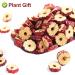 Flower 2 (80G-Red Dates) - Buy Online on GoSupps.com