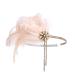 HomeSoGood 1920s Headpiece  Rhinestone Pearl Feather Hair Band  Flapper Headband  Vintage Party Dress Accessories(Pink)