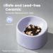 Pawaii Ceramic Elevated Cat Bowl Set - Whisker Friendly, Dishwasher Safe - Purple and Blue - Buy Online on GoSupps.com