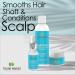 Taliah Waajid Scalp Care Follicle Therapy Shampoo | Natural Treatment for Thinning Hair & Hair Loss | Wild Sea Moss Rosemary & Aloe | 8oz - Buy Online on GoSupps.com