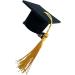 Fellflying Graduation Hat Hair Clip - 3D Graduation Hat Hairpin Graduation Dress up Photo Decoration Supplies Hat Inserts Graduation Accessories for Kids Adults Yellow - Buy Online on GoSupps.com