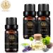 Aromatherapy Cedar Essential Oil Set for Diffuser 3X10ml 100% Pure Eucalyptus Essential Oil Kit for Humidifier - Eucalyptus Cedar Clove Essential Oil Set Aromatherapy Clove Essential Oils Kit - Buy Online on GoSupps.com