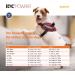 Julius-K9 IDC Powair Dog Harness - Size L/1 - Durable Lightweight & Comfortable - Orange - Buy Online on GoSupps.com