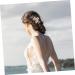 Beaupretty Hair Comb Birthday Headpiece Flower Clips Rhinestone Tiara Headband Wedding Hair Accessories Princess Headband Floral Hair Headpiece Hair Barrettes Headgear Miss Rhinestones Alloy - Buy Online on GoSupps.com