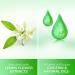 Pears Pure & Gentle Hand Wash with Lemon Flower Extracts | Moisturizing Liquid Soap with 98% Pure Glycerin | Pack of 2 - 250 ML - Buy Online on GoSupps.com