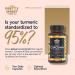 Curcumin 95 & BioPerine Capsules - High Strength Turmeric with Black Pepper for Enhanced Absorption - 60 Capsules - Made in UK - Buy Online on GoSupps.com