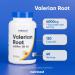 Nutricost Valerian Root Capsules (1000mg Per Serving) 120 Capsules - 4 000mg Equivalent Per Serving (4:1 Extract) Vegetarian Caps Gluten Free Non-GMO (Pack of 2) - Buy Online on GoSupps.com