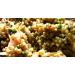 BSD Organics HealthY Pearl Millet/Kambu - 500 g - Buy Online on GoSupps.com