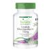 Fairvital | Milk Thistle Extract 750mg - box for 3 months - VEGAN - High dosed - 90 tablets - standardized to 80% silymarin