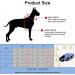 Buy Hzqifei Reflective Dog Life Jacket - Premium Swimming Vest for Small Medium & Large Dogs (Blue) - Safe & Stylish Training Aid - Buy Online on GoSupps.com