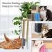 Bobozhong Cat Brush Set - 2 Large Self-Grooming Brushes for Cats | Wall Corner Cat Groomer with Catnip & Screws - Pink & Red - Buy Online on GoSupps.com