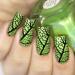 Whats Up Nails B010 Texture Me Nature Stamping Plate - Nail Art Design - Buy Online on GoSupps.com