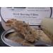 Bar Harbor Wild Herring Fillets with Cracked Pepper 6.7 oz - Pack of 6 | 6.7 Ounce Herring - Buy Online on GoSupps.com
