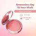 Tarte Amazonian Clay 12-Hour Blush in Seduce - Rosy Nude | Long-lasting Natural Flush - Buy Online on GoSupps.com