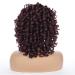 Shop Porsmeer Afro Wig for Women | Large Curly Ponytail & Short Dark Brown Bob - Perfect for Halloween & Cosplay - Buy Online on GoSupps.com