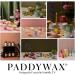 Paddywax Firefly Candle Co. En Plein Air - Sweet Olive Leaf Scented Candle 10oz Soy Wax Blend in Reusable Glass Jar for Home Fragrance & Aromatherapy - Buy Online on GoSupps.com