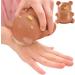 Bear Finger Nail Brush | Adorable Bear Soft Stiff Bristles Scrubber Creative Deep Clean Easy To Grasp Gentle Bristles Kids Nail Brush For Men Toes Brown - Buy Online on GoSupps.com