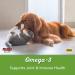 Now Foods Omega-3 for Dogs & Cats - Fish Flavor Softgels 180 ct | Pet Health Support - Buy Online on GoSupps.com