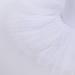 Ballet Leotard for Women - Professional Swan Lake Ballerina Costume with Hard Organdy Tutu and Classic Pancake Skirt in White - Size Large - Buy Online on GoSupps.com