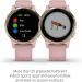 Garmin V voactive 4S Renewed Smartwatch | GPS, Music, Body Energy Monitoring | Light Gold/Light Pink Band - 40mm - Buy Online on GoSupps.com