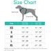 Rabbitgoo Anti-Pull Dog Harness for Small Dogs - Adjustable Breathable No Pull Control - Safe & Comfortable Mint Green XS (1 Pack) - Buy Online on GoSupps.com