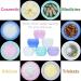 VEAIDE 20ml TSA Approved Travel Containers for Toiletries - Leakproof Refillable Makeup Jars with Clear Zipper Bag, 6 Pieces - Buy Online on GoSupps.com