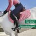 Dover Saddlery Burgundy Quilted All-Purpose Saddle Pad - Premium Equestrian Gear - Buy Online on GoSupps.com