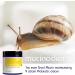Mucinoderm Snail Mucin Moisturizer - 4OZ Organic Probiotic Korean Skincare for Dry Skin | Intense Care Snail Rescue Cream & Serum - Buy Online on GoSupps.com