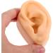 Shop Amosfun Silicone Ear Models - Flexible Body Parts for Realistic Simulation and Earring Display - Buy Online on GoSupps.com