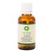 R V Essential Pure Brahmi Oil 50ml (1.69oz)- Bacopa Monnieri (100% Pure and Natural Rare Herb Series)