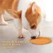 Buy Vivifying Frisbee Dog - Set of 2 Natural Rubber 15 cm Dog Frisbees for Land & Water (Green + Orange) - International Shipping Available - Buy Online on GoSupps.com