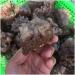 Decorative Crystal Natural Rough red Quartz Crystal Gemstone Cluster Reiki Crystal Stone Specimen Home Decor Crystal - Buy Online on GoSupps.com