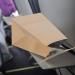 10 Pack Biodegradable Paper Vomit Bags - Disposable Emesis Bags for Car Travel & Morning Sickness - Buy Online on GoSupps.com
