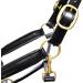 Aces Equine LEATHER HORSE HEADCOLLAR HALTER FULLY RAISED AND PADDED BLACK COLOR BRASS FITTING COB - Buy Online on GoSupps.com