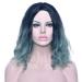 Shop LFMDJF Black to Gray Curly Short Synthetic Wig - 12 inches Party Hairpiece for Women in Black Blonde Pink Brown - Buy Online on GoSupps.com