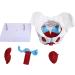 Teaching Pelvic Model Pelvis Model Durable Honest And Reliable Exquisite Craftsmanship for Home for Tearcher - Buy Online on GoSupps.com