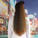 Horsetail Wig Female Long curly hair clip on corn hot horsetail tied roll hip hop eggroll ponytail highlights fluffy small grip black arctic green bandage black highlights arctic green corn hot