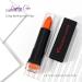 Kilshye Matte Lipstick - High Pigment, Long Lasting, Waterproof Lip Stick - Orange 14 - Buy Online on GoSupps.com