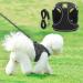 Harness and Lead Set for Puppy Cat Adjustable Reflective Vest Harness Cat Leash Cat Harness Escape Proof for Small Dog Cat Kitten Puppies Walking - Buy Online on GoSupps.com