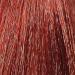 Blush Satine Dark Blonde Temporary Hair Color - Easy Application No Root Effect - Buy Online on GoSupps.com