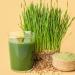Organic Wheat Grass Powder 1kg - Pure & Natural Vegan Supplement for Healthy Living - Buy Online on GoSupps.com