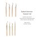 Eyeline 8-Part Eyelash Extension Tweezers Set | Steel Beauty Tools in Pearly Gold - Precision Tweezers for Lash Extensions - Buy Online on GoSupps.com