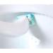 Toilet Brush Refills Multipurpose Pads for Toilet with Strong Detergency Safe Material Convenient (Lemon) - Buy Online on GoSupps.com