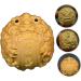 Beaupretty 5st-S Legender Chinese Coins Handballs - Wooden Feng Shui Home Decor & Old Gift Box - Buy Online on GoSupps.com