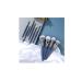 Buy Premium Synthetic Makeup Brush Set - 10 Essential Brushes for Concealer Foundation & Eyeshadow - Buy Online on GoSupps.com